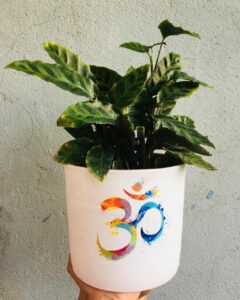Customized pot